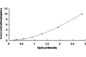 Lamin B2 ELISA Kit