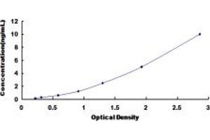 Typical standard curve (Lamin B2 ELISA Kit)