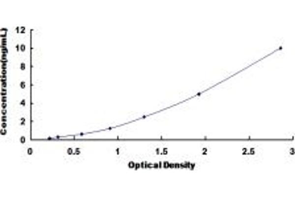 Lamin B2 ELISA Kit