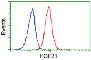 Flow cytometric Analysis of Jurkat cells, using anti-FGF21 antibody (ABIN2454511), (Red), compared to a nonspecific negative control antibody, (Blue).