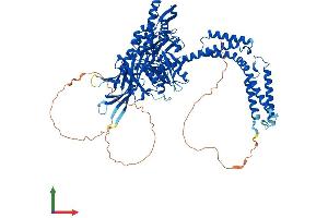 AlphaFold protein structure predicition of Human Recombinant HSPA4L Protein, UniprotID O95757