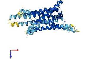 AlphaFold protein structure predicition of Human Recombinant TAS2R13 Protein, UniprotID Q9NYV9 (TAS2R13 Protein (AA 1-303) (His tag))