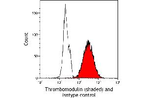 Flow Cytometry (FACS) image for anti-Thrombomodulin (THBD) (AA 17-515) antibody (ABIN7795644)