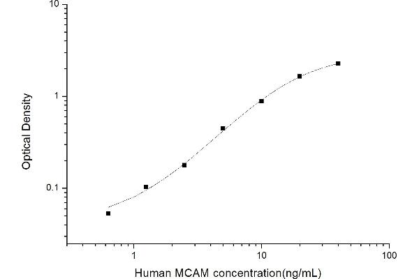 MCAM ELISA Kit