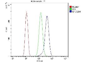 Flow Cytometry analysis of SiHa cells using anti- IDH2 antibody (ABIN7602785). (IDH2 antibody  (C-Term))