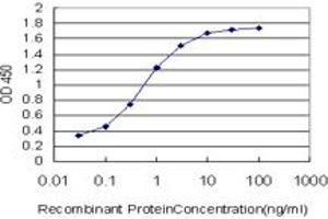 Detection limit for recombinant GST tagged BATF is approximately 0. (BATF antibody  (AA 34-125))