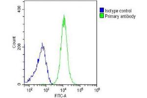 Flow Cytometry (FACS) image for anti-Sodium Channel, Nonvoltage-Gated 1 alpha (SCNN1A) (AA 365-391) antibody (ABIN652752)