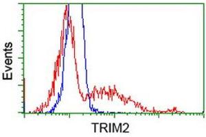 HEK293T cells transfected with either RC203947 overexpress plasmid (Red) or empty vector control plasmid (Blue) were immunostained by anti-TRIM2 antibody (ABIN2454057), and then analyzed by flow cytometry. (TRIM2 antibody  (AA 1-100, AA 645-744))