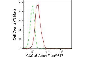 anti-Chemokine (C-X-C Motif) Ligand 5 (CXCL5) antibody