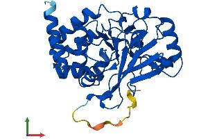 Protein Structure (PS) image for Protein Phosphatase 2, Catalytic Subunit, beta Isozyme (PPP2CB) (AA 1-309) protein (His tag) (ABIN7550932)