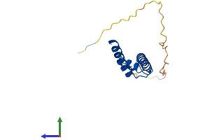 AlphaFold protein structure predicition of Human Recombinant NHLH2 Protein, UniprotID Q02577 (NHLH2 Protein (AA 1-135) (His tag))
