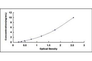 Typical standard curve (CNPY2/MSAP ELISA Kit)