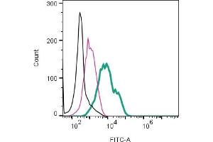 Cell surface detection of  by direct flow cytometry in live intact human  monocytic leukemia cell line: + Rabbit IgG isotype control-FITC (ABIN7582044).