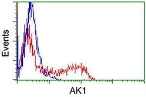 Flow Cytometry (FACS) image for anti-Adenylate Kinase 1 (AK1) antibody (ABIN1496516) (Adenylate Kinase 1 antibody)