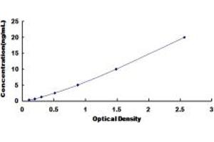 HDAC9 ELISA Kit