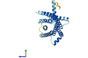 AlphaFold protein structure predicition of Human Recombinant TAS2R31 Protein, UniprotID P59538 (TAS2R31 Protein (AA 1-309) (His tag))