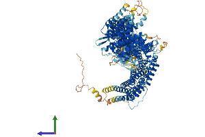 AlphaFold protein structure predicition of Human Recombinant FANCI Protein, UniprotID Q9NVI1