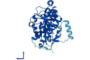 Protein Structure (PS) image for Monoacylglycerol O-Acyltransferase 2 (MOGAT2) (AA 1-334) protein (His tag) (ABIN7549501)