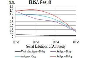 Black line: Control Antigen (100 ng);Purple line: Antigen (10ng); Blue line: Antigen (50 ng); Red line:Antigen (100 ng) (BUB1 antibody  (AA 1-130))