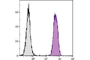 BALB/c mouse splenocytes were stained with Rat Anti-Mouse CD45-UNLB. (Goat anti-Rat Ig (Heavy & Light Chain) Antibody (FITC))