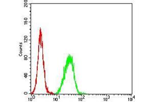 Flow cytometric analysis of Hela cells using SAG2 mouse mAb (green) and negative control (red). (Surface Antigen 2B antibody  (AA 1-130))