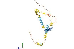 Protein Structure (PS) image for Tumor Protein D52-Like 1 (TPD52L1) (AA 1-204) protein (His tag) (ABIN7544545)