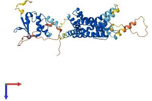 AlphaFold protein structure predicition of Human Recombinant KCNA7 Protein, UniprotID Q96RP8 (KCNA7 Protein (AA 1-456) (His tag))