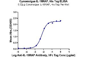 Immobilized Cynomolgus IL-18RAP, His Tag at 0. (IL18RAP Protein (AA 20-356) (His tag))