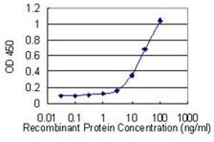 Detection limit for recombinant GST tagged REEP5 is 1 ng/ml as a capture antibody. (REEP5 antibody  (AA 113-184))