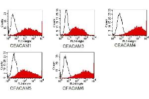 FACS analysis of BOSC23 cells using D14HD11. (CD66acde antibody)