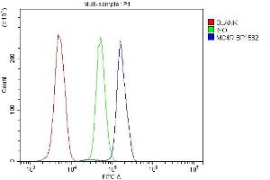 Flow Cytometry analysis of U937 cells using anti-MC4R antibody (ABIN7602763).