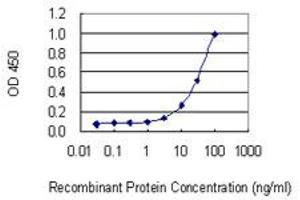 Detection limit for recombinant GST tagged SNX10 is 1 ng/ml as a capture antibody. (SNX10 antibody  (AA 1-201))