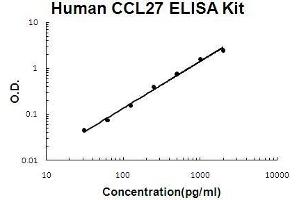 Human CCL27/CTACK PicoKine ELISA Kit standard curve (CCL27 ELISA Kit)