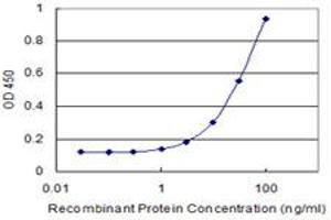 Detection limit for recombinant GST tagged TAF13 is 1 ng/ml as a capture antibody. (TAF13 antibody  (AA 27-124))