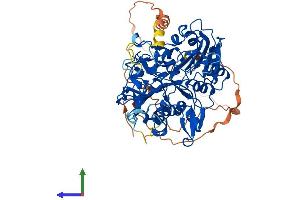 AlphaFold protein structure predicition of Human Recombinant TDP1 Protein, UniprotID Q9NUW8 (TDP1 Protein (AA 1-608) (His tag))
