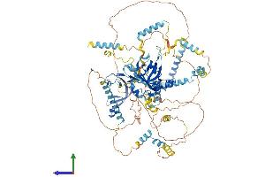AlphaFold protein structure predicition of Human Recombinant MCM10 Protein, UniprotID Q7L590 (MCM10 Protein (AA 1-875) (His tag))