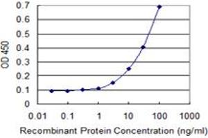 Detection limit for recombinant GST tagged ABLIM1 is 1 ng/ml as a capture antibody. (ABLIM1 antibody  (AA 637-736))