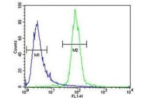 RPEL1 antibody flow cytometric analysis of K562 cells (green) compared to a negative control cell (blue). (Ribulose-5-Phosphate-3-Epimerase-Like (RPEL1) (AA 187-215) antibody)