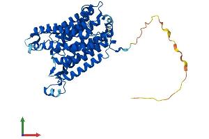AlphaFold protein structure predicition of Human Recombinant RHCG Protein, UniprotID Q9UBD6 (RHCG Protein (AA 1-479) (His tag))