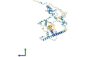 AlphaFold protein structure predicition of Mouse Recombinant Ltv1 Protein, UniprotID Q6NSQ7