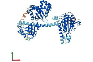 AlphaFold protein structure predicition of Mouse Recombinant Gucy1b1 Protein, UniprotID O54865