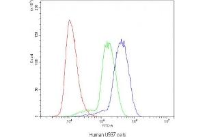 Flow cytometry testing of human U937 cells with NLRP3 antibody at 1ug/10^6 cells (blocked with goat sera)