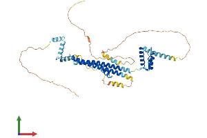 Protein Structure (PS) image for Pre-B-Cell Leukemia Homeobox Protein 1 (PBX1) (AA 1-430) protein (His tag) (ABIN7563236)