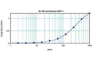 Image no. 1 for anti-Chemokine (C-C Motif) Ligand 2 (CCL2) antibody (Biotin) (ABIN465554) (CCL2 antibody  (Biotin))