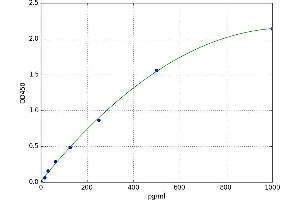 Relaxin/insulin-Like Family Peptide Receptor 1 (RXFP1) ELISA Kit