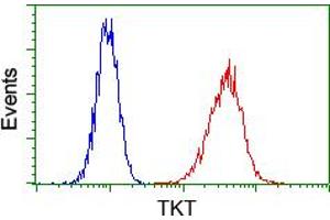 Flow cytometric analysis of Hela cells, using anti-TKT antibody (ABIN2453725), (Red) compared to a nonspecific negative control antibody (TA50011) (Blue). (TKT antibody)