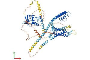 AlphaFold protein structure predicition of Mouse Recombinant Kcnd2 Protein, UniprotID Q9Z0V2
