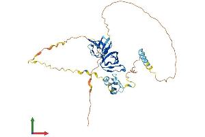 AlphaFold protein structure predicition of Mouse Recombinant Stac3 Protein, UniprotID Q8BZ71 (STAC3 Protein (AA 1-360) (His tag))