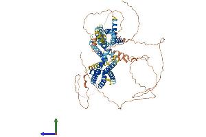 AlphaFold protein structure predicition of Mouse Recombinant Kcnq2 Protein, UniprotID Q9Z351