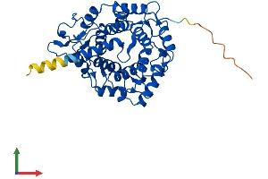AlphaFold protein structure predicition of Mouse Recombinant Pggt1b Protein, UniprotID Q8BUY9